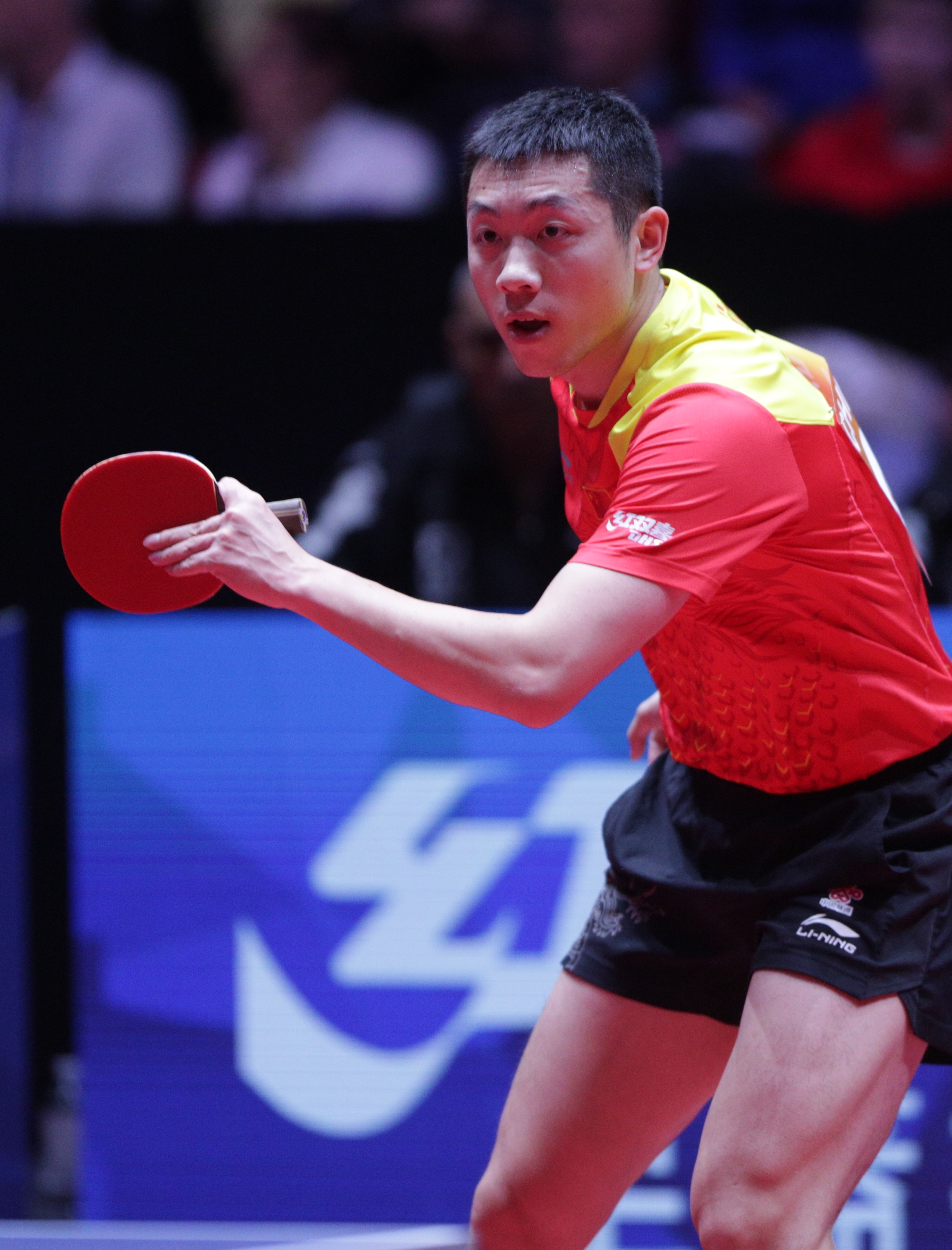 关于日本乒乓球队完胜奥地利乒乓球队,许昕惊艳世界的信息 关于日本乒乓球队完胜奥地利乒乓球队,许昕惊艳世界的信息