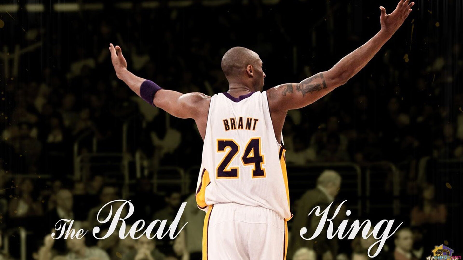 当塞内加尔击败威尔士,范戴克如何在季后赛抢七中重新定义接管